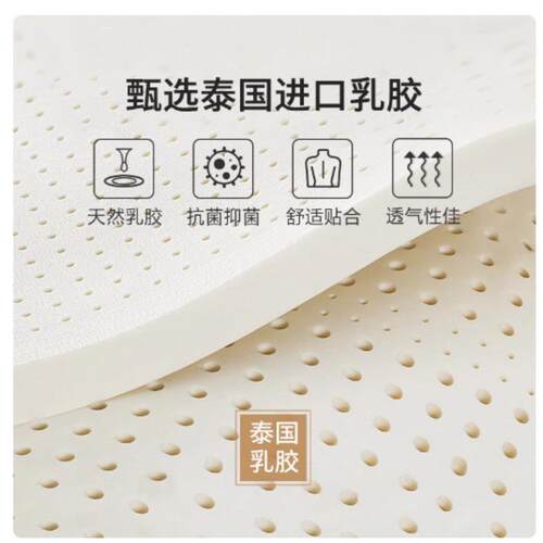 乳床胶家用软垫垫租房专用卧室垫榻榻米软床WYR子学生宿舍单人垫