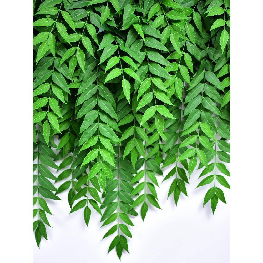仿真绿植发财叶室内吊墙植物假花藤条装饰客厅吊挂篮仿真黄连塑料