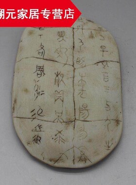 硬树脂甲骨文仿真小摆件龟甲兽骨古文字化石儿童认知早教玩具模型