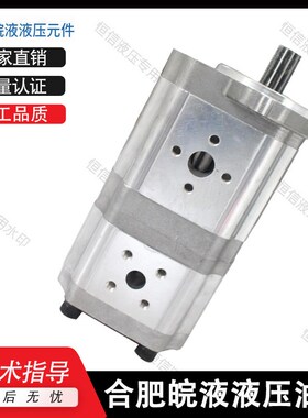 合肥皖液齿轮泵CBTL-F306/F304 F308/F306 F310/F306-AF双联油泵