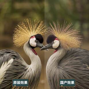 适用于明基投影灯泡W1700170+W11W20W1240075W108机0STW011000