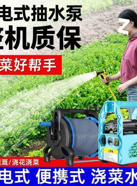 锂电用小型地充电式水泵浇菜神器浇水浇地农抽菜家用灌溉CJS抽水