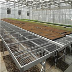 供应湖南育苗移动潮苗床汐苗床NLH移种动种植架蔬菜花卉育苗植床