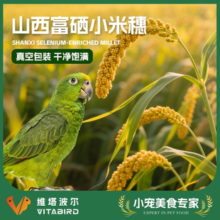 维塔波尔 鹦鹉小宠美味零食小吃 鹦鹉谷穗小吃