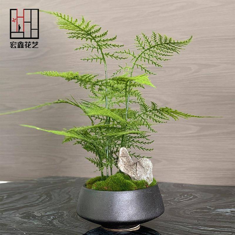 新中式花艺绿植盆景样板房客厅售楼处玄关植物文竹盆栽摆件