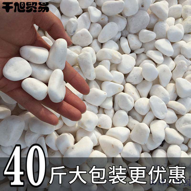 地软路面家用景观鹅软石白色装饰阳台沼泽石天砾石专用