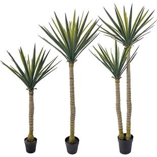 绿长春盆仿真盆栽植物园剑兰盆栽DXY小景绿植剑麻艺室内装饰树