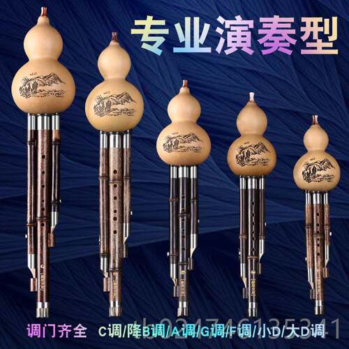 新款云南紫竹芦丝乐C器专业演奏型成人调降B调DAGF学考级葫正初品