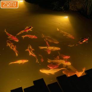 IP68水底灯泳池鱼池水景灯水底景观灯表面安装 安全低压水底灯