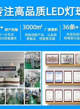 10E0灯珠雾RGB状YBR透明1212灯珠全彩rgb共阳刷1墨黑色黑面显示屏