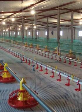 自动料线平养鸡自料线散养肉料鸡线自MXB动喂动料设备鸡鸭子鹅料