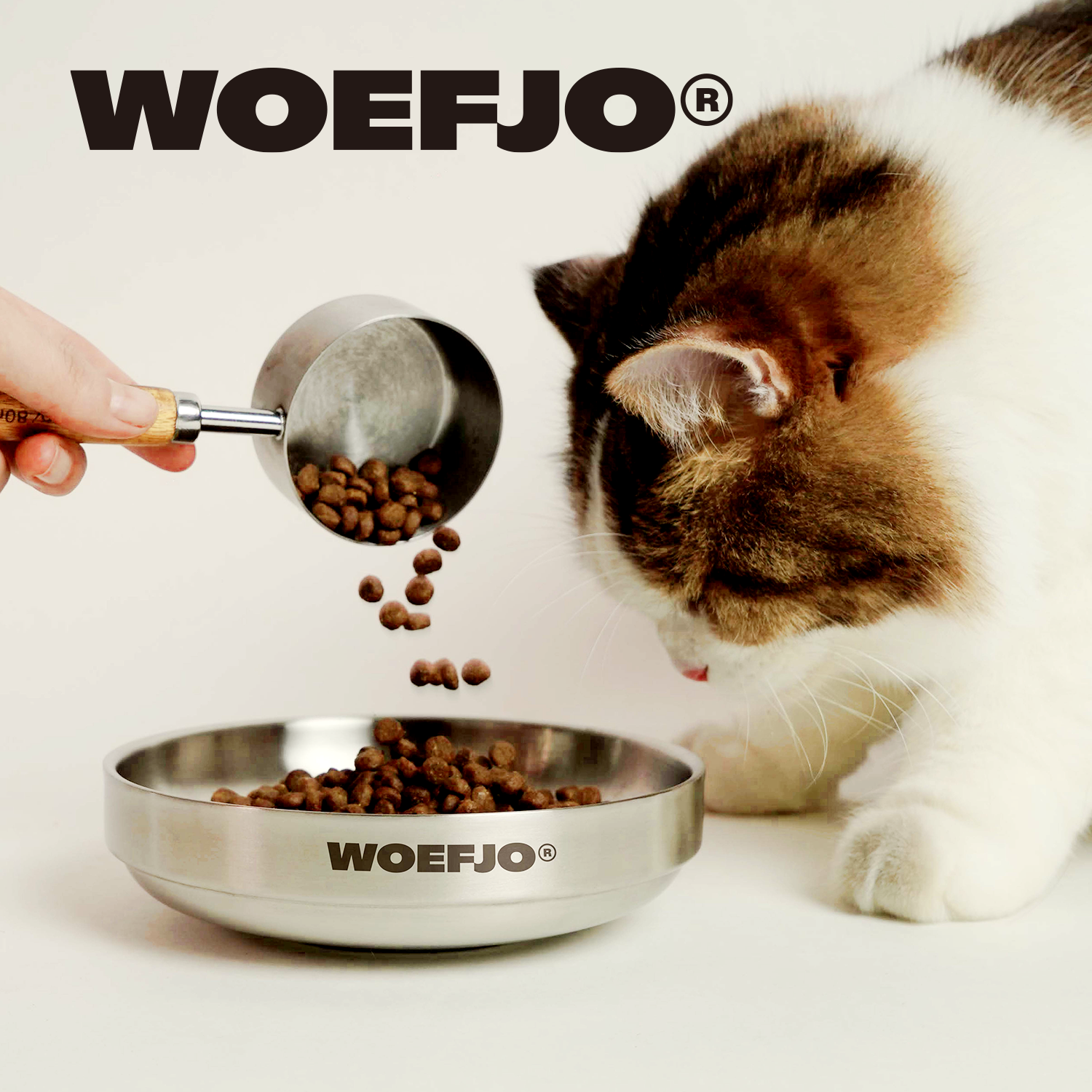 WOEFJO不锈钢宠物碗304猫碗狗碗敞口宠物碗双层零食盘餐盘加厚,宠物/宠物食品及用品,猫狗碗/慢食碗,淘宝优惠券,粉丝福利购,淘宝优惠卷