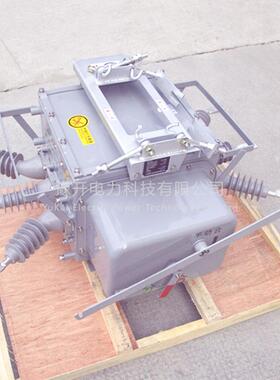 FZW20F8-12/63A户外高压交流真空负荷开关1KV柱上0智能ZFV真空开