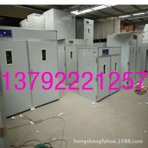 育雏伞保育雏器温DTB保箱小鸡脱温设备自动控温动伞自温伞养鸡保