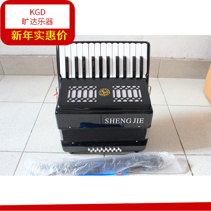 现货 圣杰25键16贝司斯儿童专业手风琴 16BS手风琴25K键 音色好