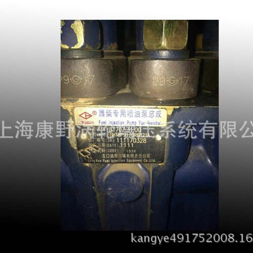 潍柴原装8170喷油泵总成