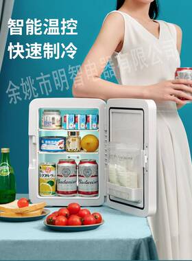 12L镜面美妆小冰箱迷你LED微型宿舍母乳美化妆镜冷藏车载家俩用
