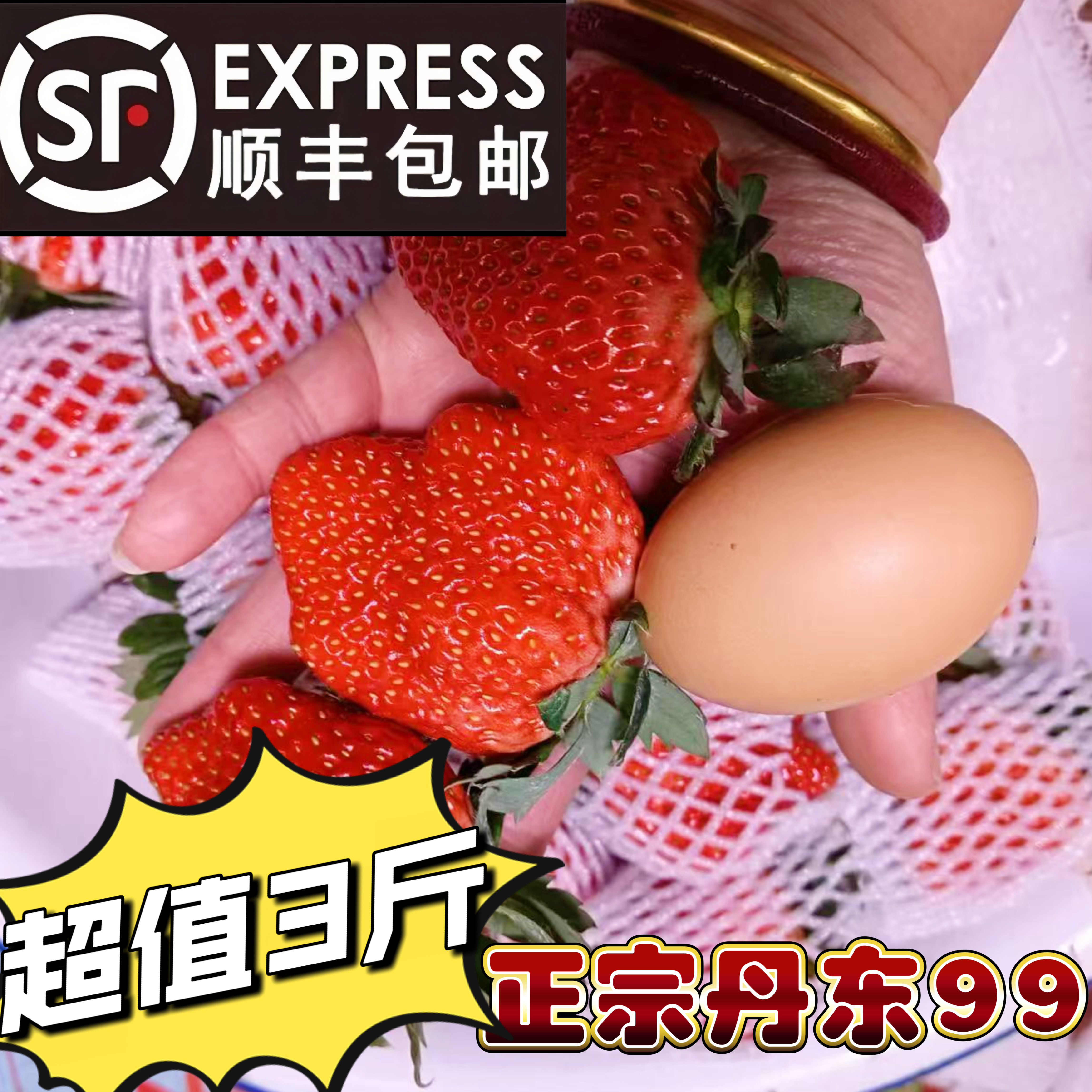 正宗丹东东港99草莓,新鲜现摘现发顺丰包邮空特价大丑果30g+