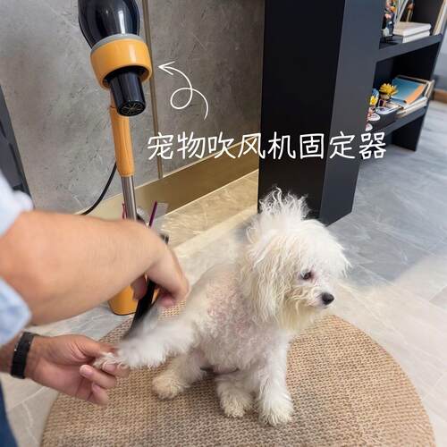 宠物狗狗吹风机支架比熊泰迪约克夏吹毛拉毛固定架子洗澡用品