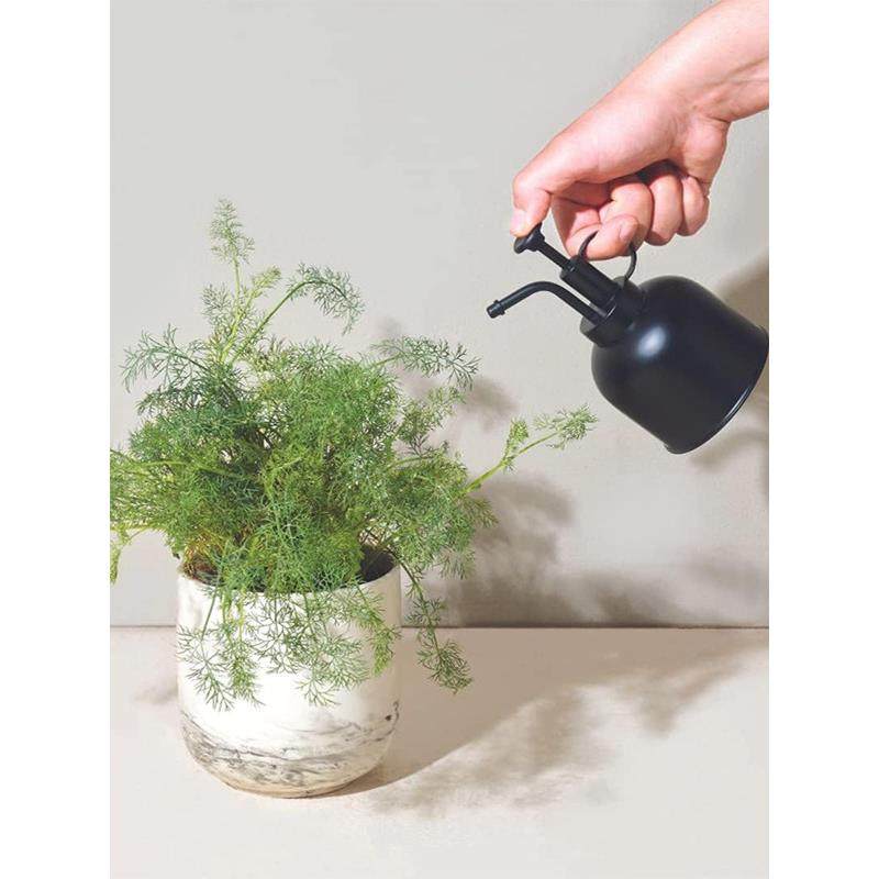 304不锈钢浇花喷壶多肉绿植家用复古金色小型迷你园艺北欧喷水壶,鲜花速递/花卉仿真/绿植园艺,洒水/浇水壶,淘宝优惠券,粉丝福利购,淘宝优惠卷