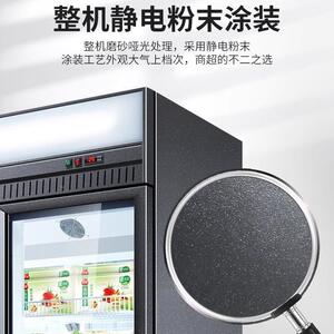 冷冻展示柜商970用急冻柜场超市冰箱冰淇低淋温冰柜风冷商立式柜