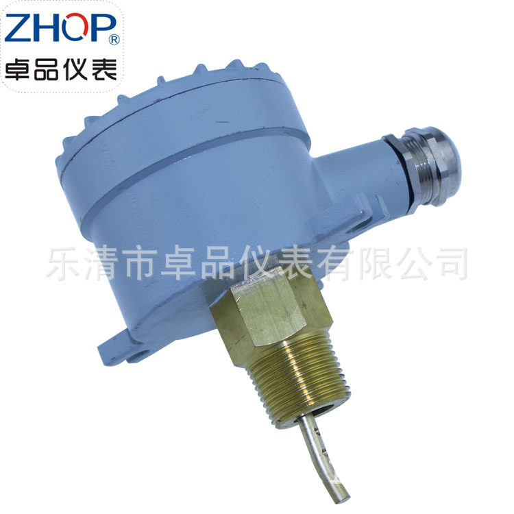 铝合金接线盒水流开关BZFS-25