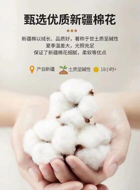 床20215新小清新女床单单件纯棉00205炕单孩学生宿舍床被单上三件