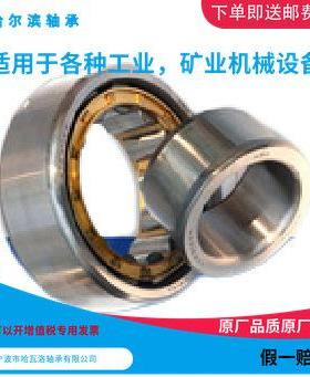 HRBM新型偏2号RN307摆线针减速50307H哈尔滨轴承心套圆973柱滚