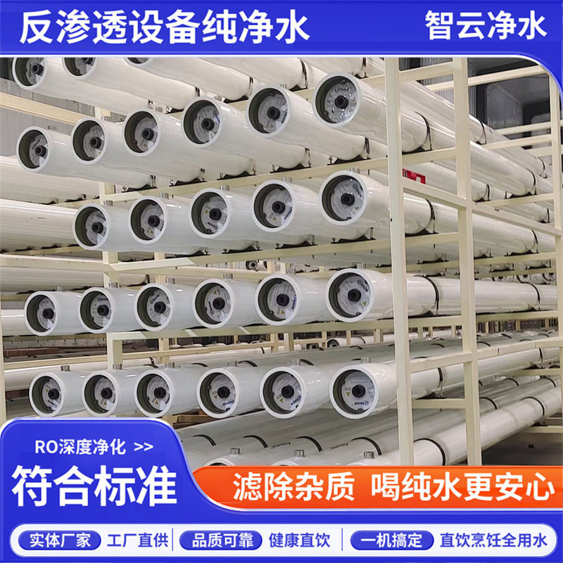反渗透设备全自动饮用水净水设备 水库河水过滤净化装置 原水处理
