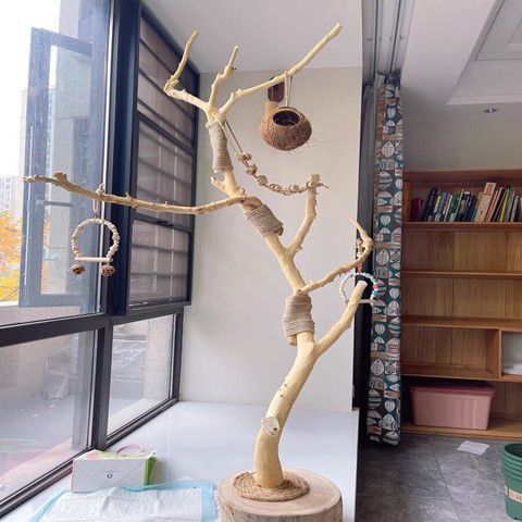 天然干枝枯木造型壁挂鸟架装饰
