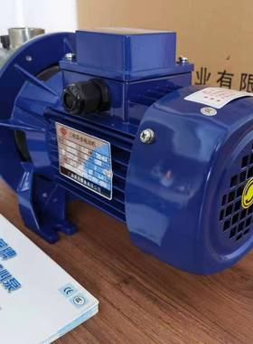 粤牌DFNS045-p射流式不锈钢自吸泵泵管华道增压农田灌溉泵抽Z井水