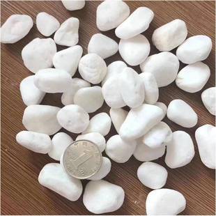 色水洗石白色粘胶石雪花白石子色鹅白卵石工程用白白色卵石17石鹅