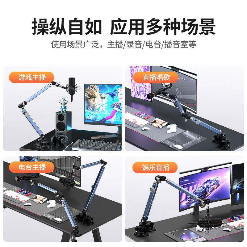 兰特帕支高承重麦克风悬臂架伸缩悬臂桌麦克DMS-01-0风面直播话筒