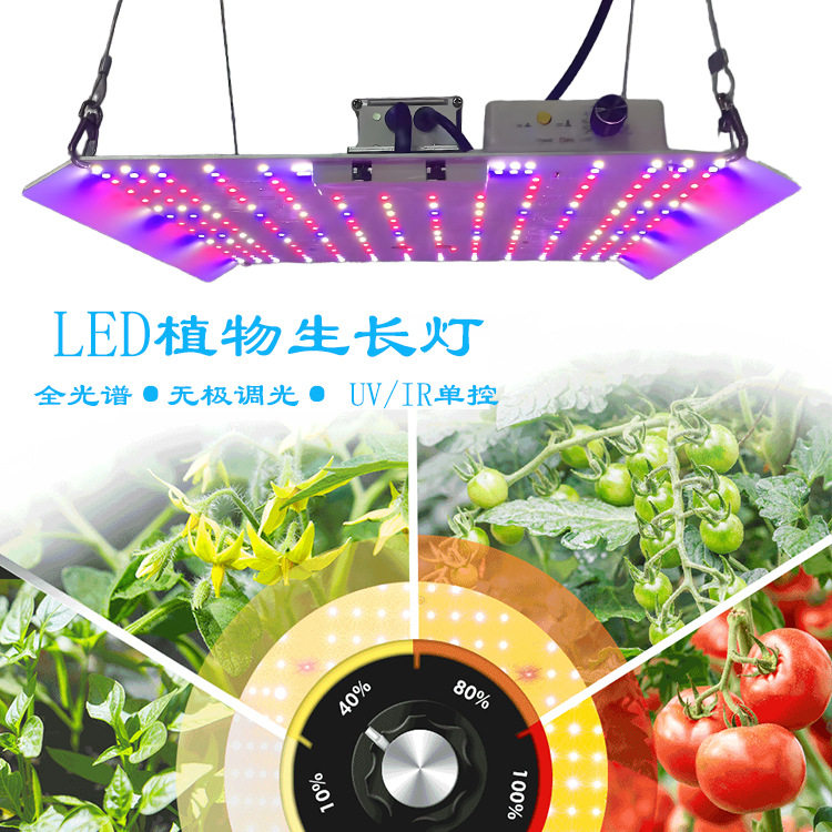 量子板植物生长灯室内水族育苗景观全光谱室内绿植植物补光灯图片