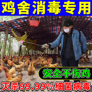 鸡舍消毒专用消毒液杀菌消毒粉安全不伤鸡养殖场消毒剂鸡圈消毒