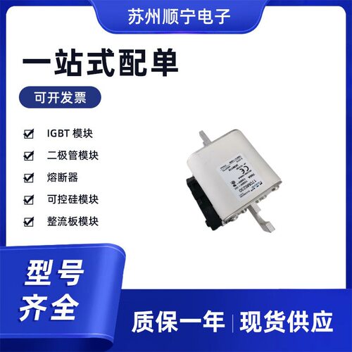 170M6230  170M6252  170M6253  170M6277  170M6302熔断器保险丝
