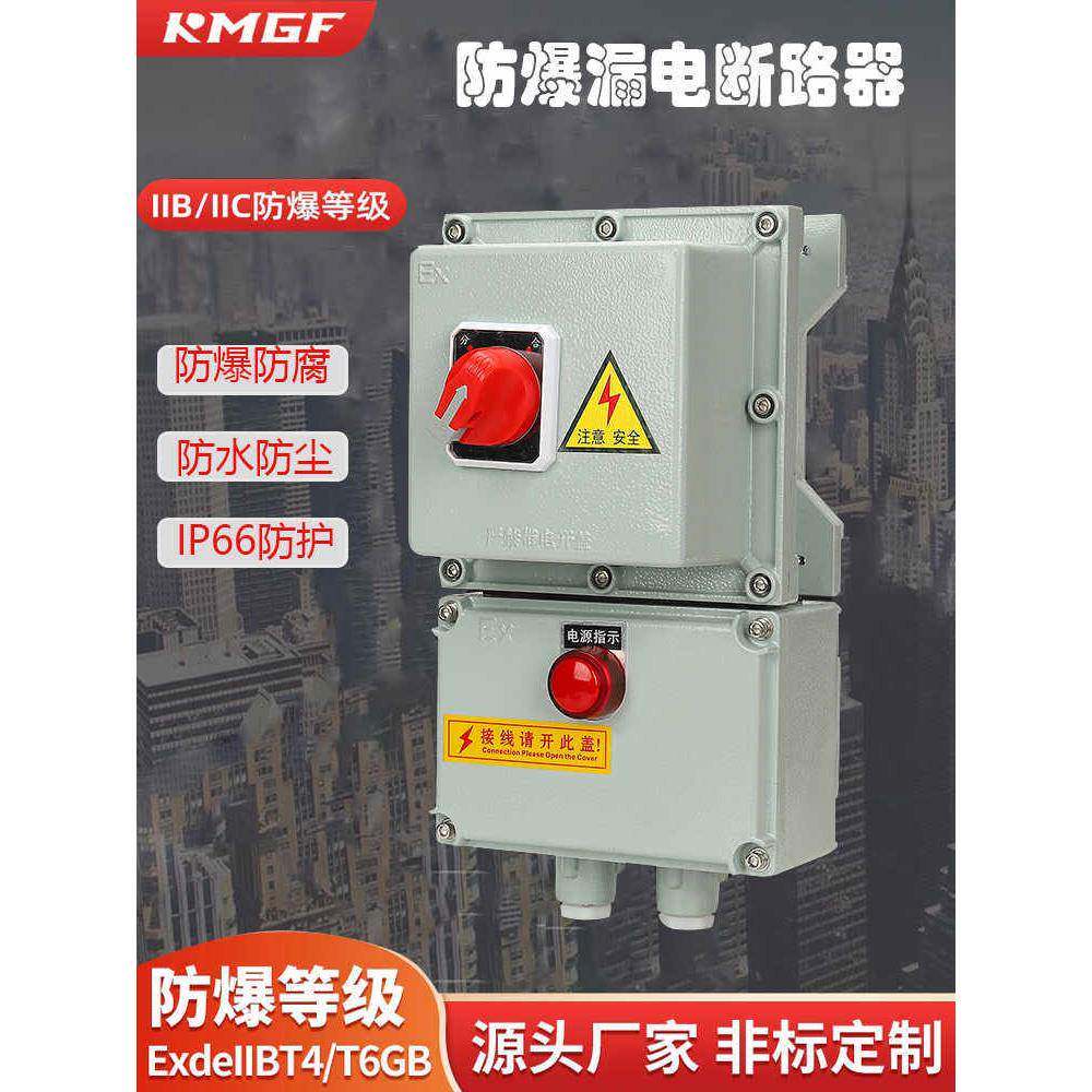 防爆开关箱220V380V空开控制箱防爆断路器2P3P16A20A32A带漏电