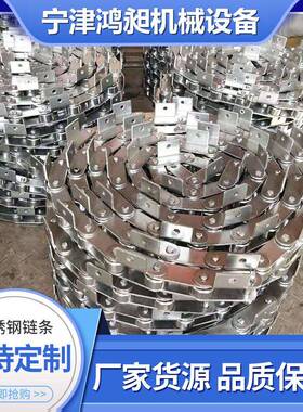头工厂单距弯板源链条耐高温OML工业非30节4不锈钢链标条