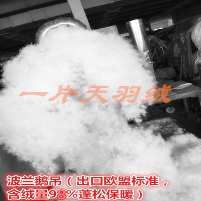 波兰手出工98%白鹅吊绒口标波高兰欧被EYI盟标准蓬松水洗羽绒填充