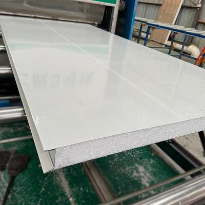 厂家直销泡沫夹房芯板彩板活动板TLG吊隔顶隔断防钢火保温热墙板