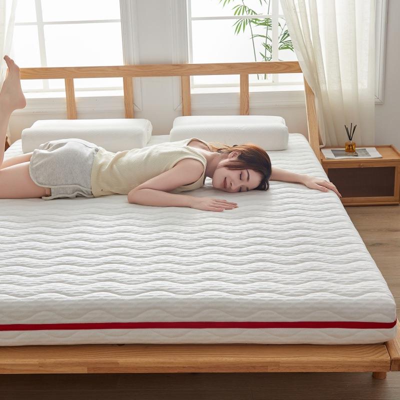 床垫家用软垫房专用地睡垫宿舍学生单人拆洗885租床铺褥垫折叠可