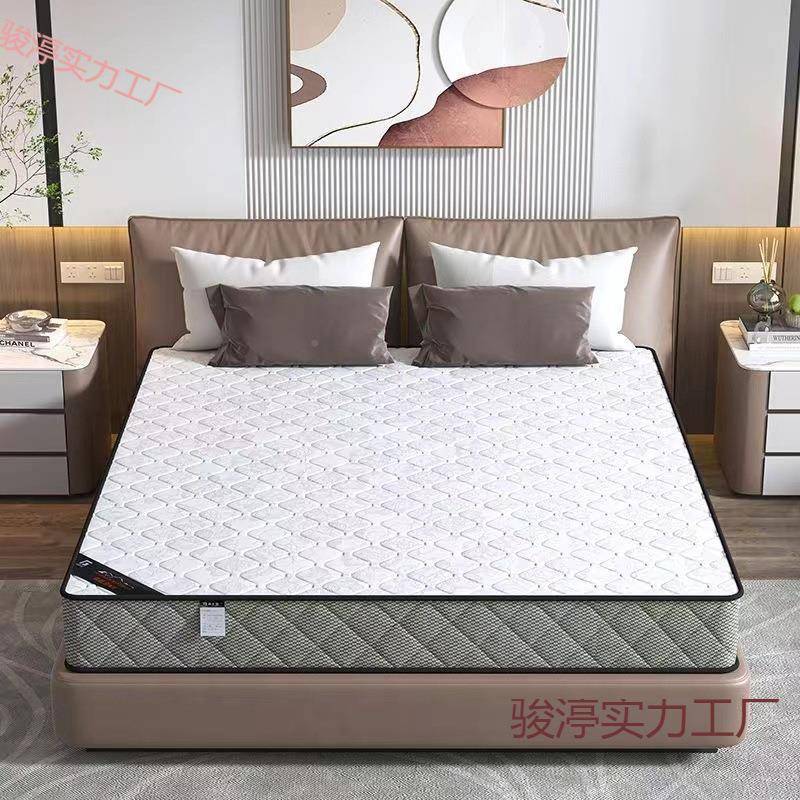 椰棕.弹簧济床垫梦思经型软席硬630两用厚家用天然乳胶大