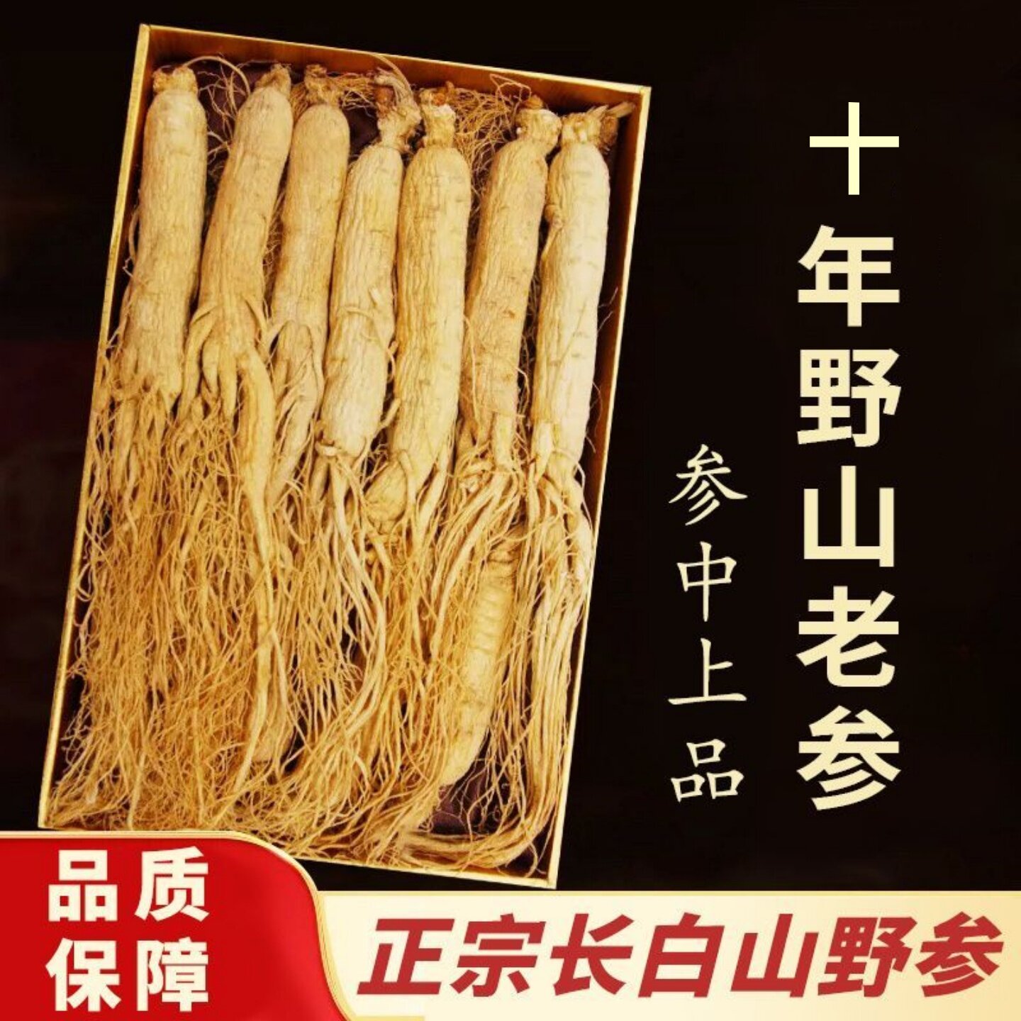 长白山人参野山参生晒参白参正品
