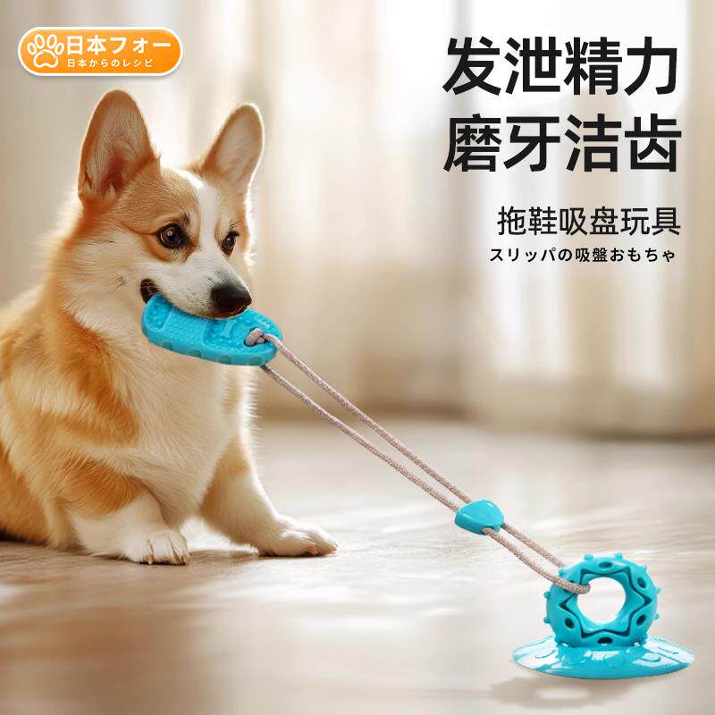 【狗狗玩具吸盘】耐咬磨牙解闷自嗨神器消耗体力小狗玩具宠物用品