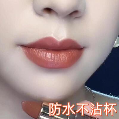 大牌口红女日常百搭肉桂奶茶色显白不沾杯持久不掉色官方正品