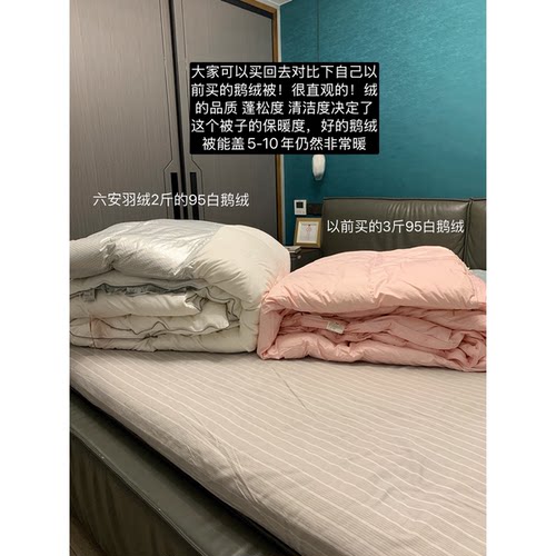 【婷仔推荐】羽绒被95白鹅绒秋冬被冬被芯加厚
