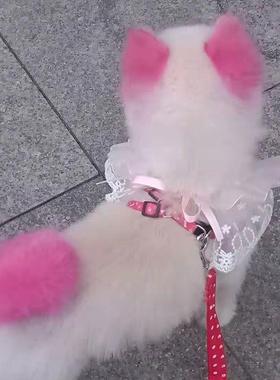 宠物染发剂狗猫动物专用染发剂樱花粉色橙色染发剂染发膏