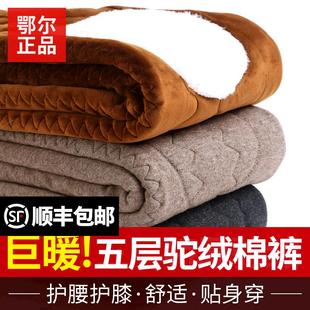 中老年保暖羊毛裤 羊绒裤 宽松 男女加绒加厚冬季 鄂尔多斯市驼绒棉裤