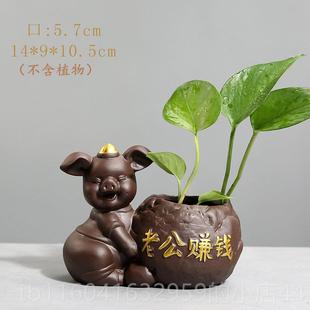 新款创意明绿植萝水培物透玻璃装花瓶家用客厅饰摆件水养插花陶瓷