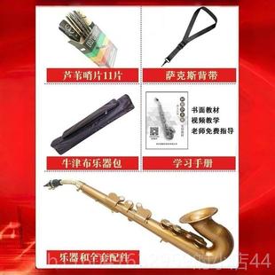 新款 树脂萨克斯乐器调初学入易门降调BF中音成人轻巧学乐器